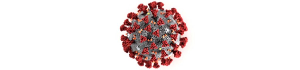 The SARS-CoV-2 virus The SARS-CoV-2 virus